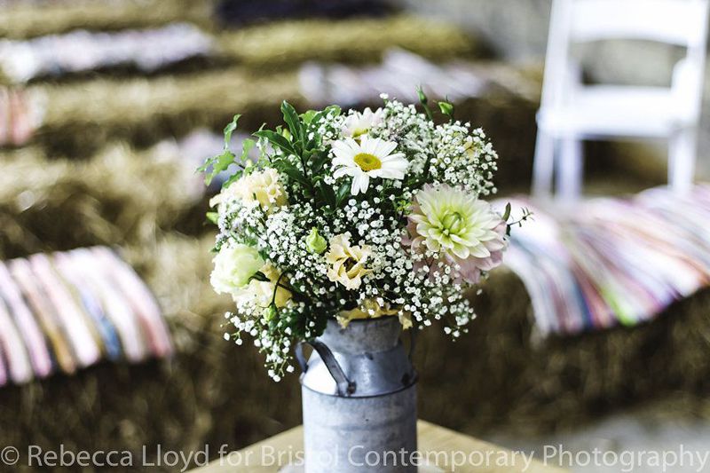 Dunwell Farm Photo Galleries